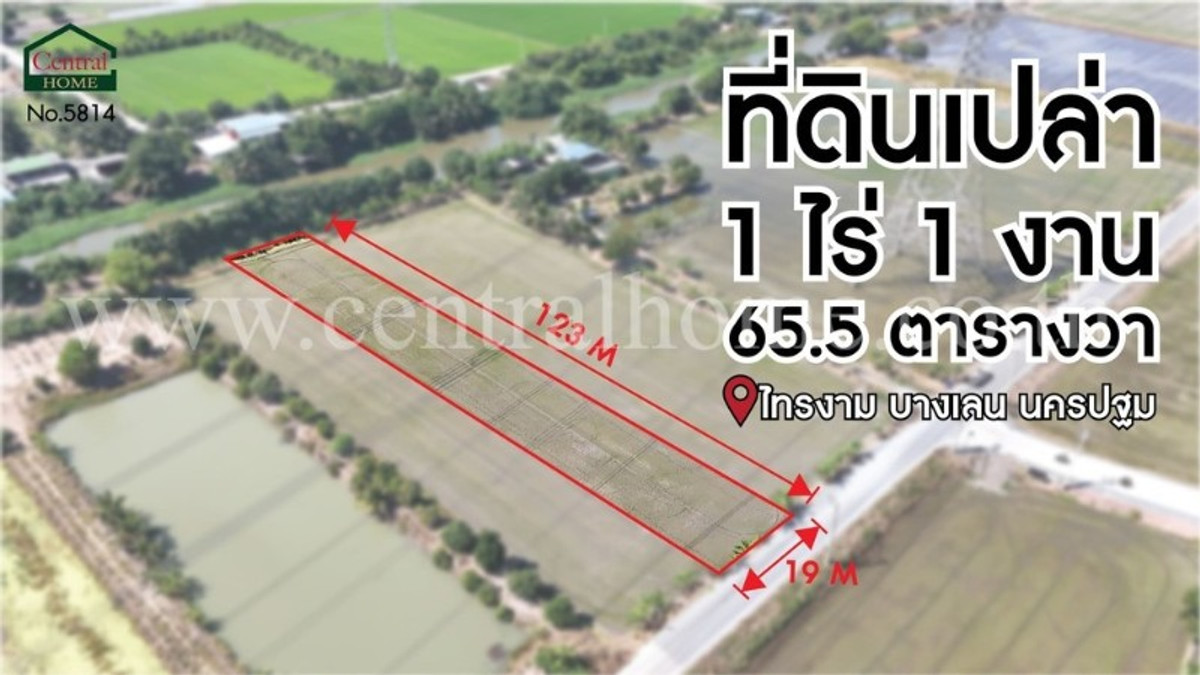 ที่ดินเปล่า 1-1-65.5 ไร่ ไทรงาม บางเลน - นครปฐม – รูปที่ 3