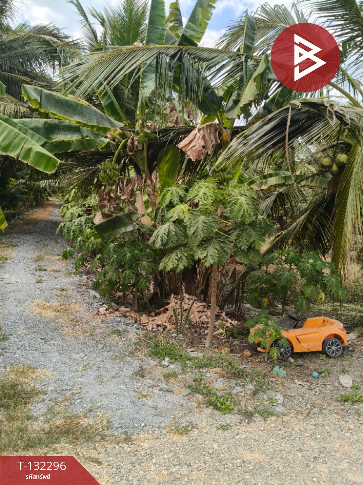 Land for sale, area 3 ngan 65 sq m, Ban Phaeo, Samut Sakhon. – รูปที่ 2