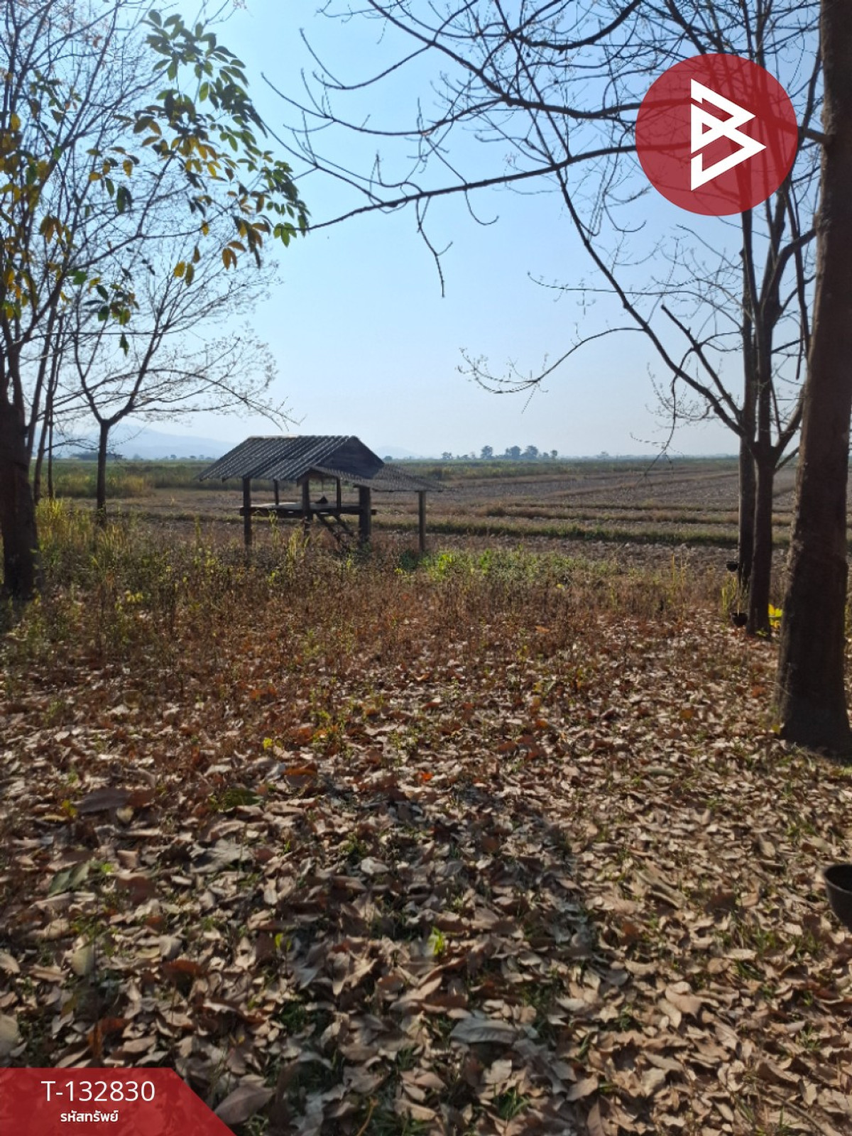 Land for sale, area 7 rai 3 ngan 91 sq m, Thoeng, Chiang Rai. – รูปที่ 4