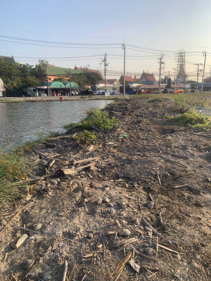 Land for sale, purple zone (industrial/commercial), 10 rai, located on Kuu Saeng Pracha Uthit Road. – รูปที่ 2