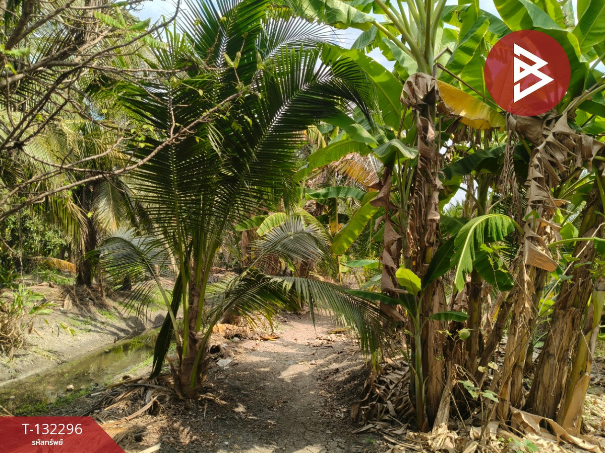 Land for sale, area 3 ngan 65 sq m, Ban Phaeo, Samut Sakhon. – รูปที่ 3