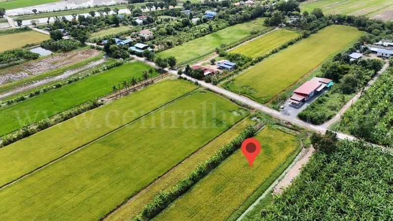 ที่ดินเปล่า 7 ไร่ 55 ตารางวา บางคูรัด บางบัวทอง นนทบุรี – รูปที่ 4