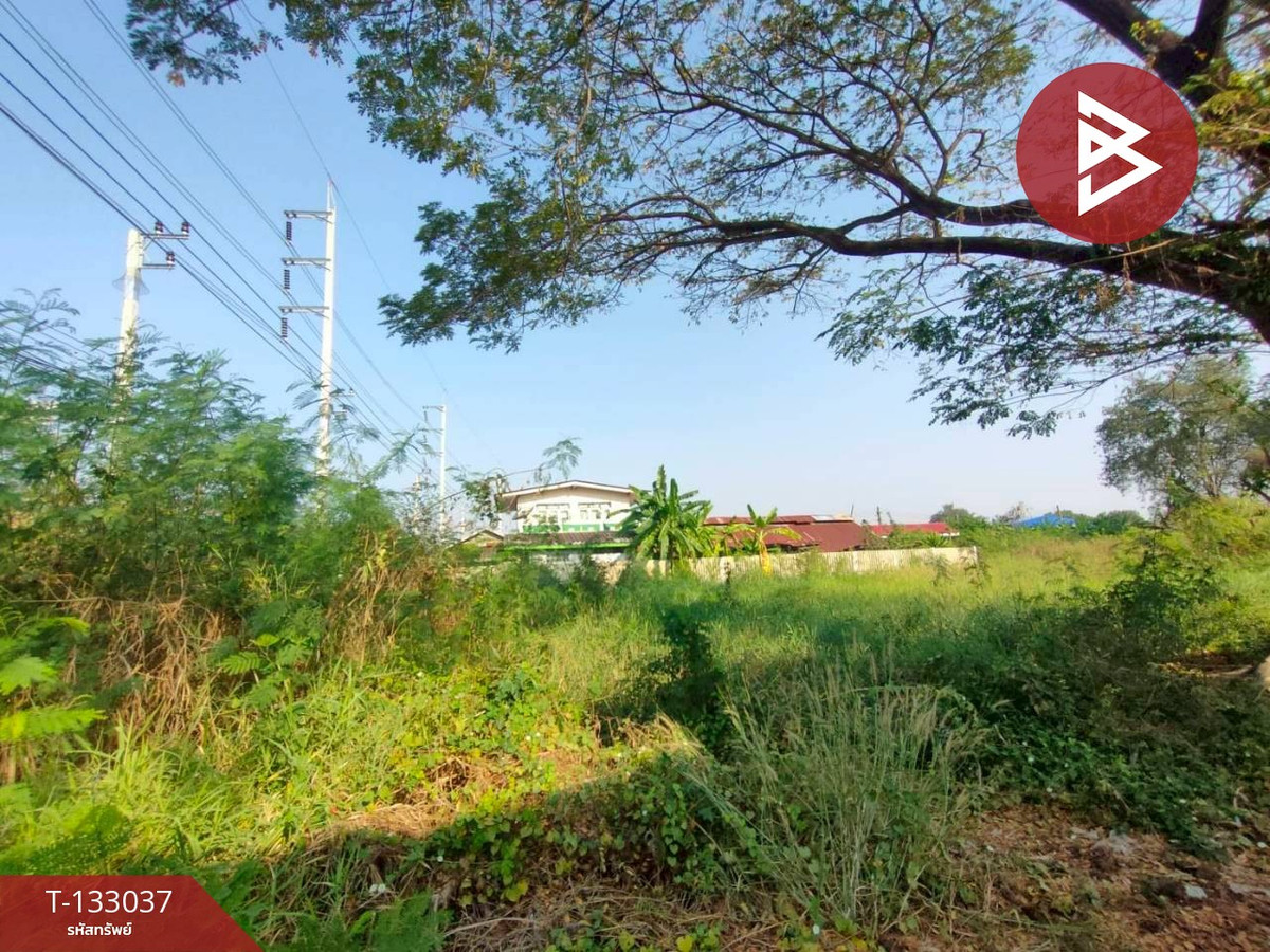 ขายที่ดิน เนื้อที่ 1 ไร่ 67.3 ตร.วา บางพระ ฉะเชิงเทรา – รูปที่ 3