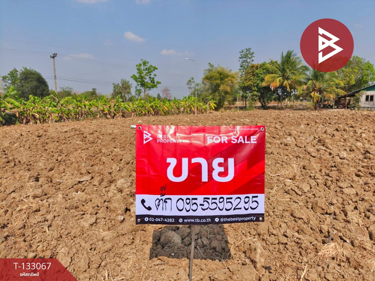 ขายที่ดิน เนื้อที่ 10 ไร่ ศรีเทพ เพชรบูรณ์ – รูปที่ 2