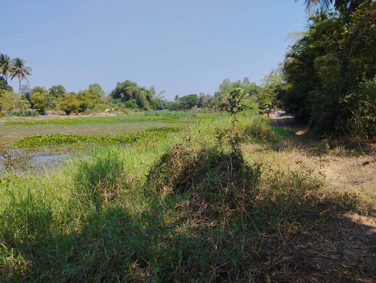 Land for sale along the Suphanburi River, originally thin, beautiful, filled in and fenced in, 1 rai, 1 ngan, 57 sq m. – รูปที่ 3