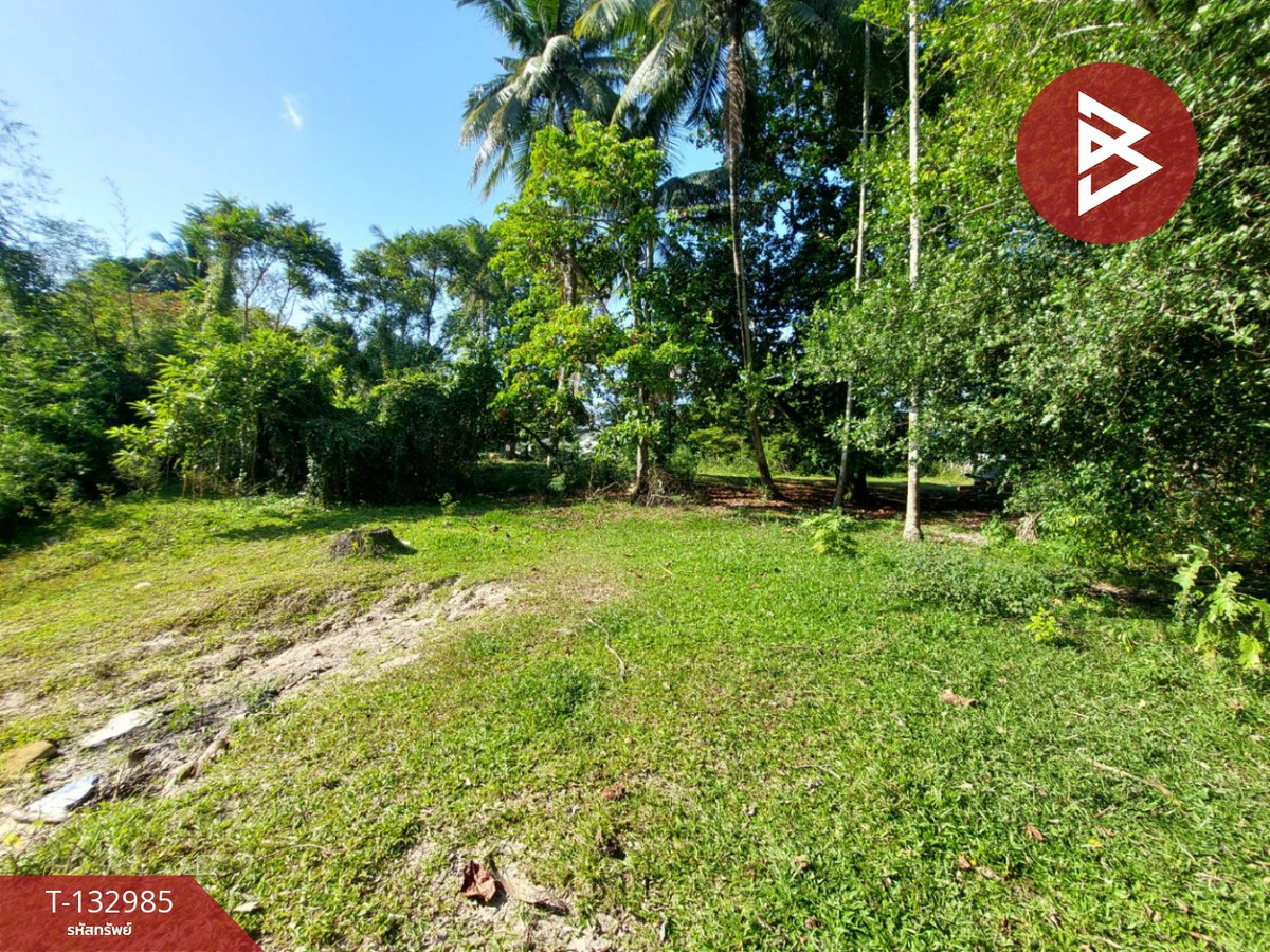 Land for sale, area 81 sq m, Pho Sadet, Nakhon Si Thammarat. – รูปที่ 2