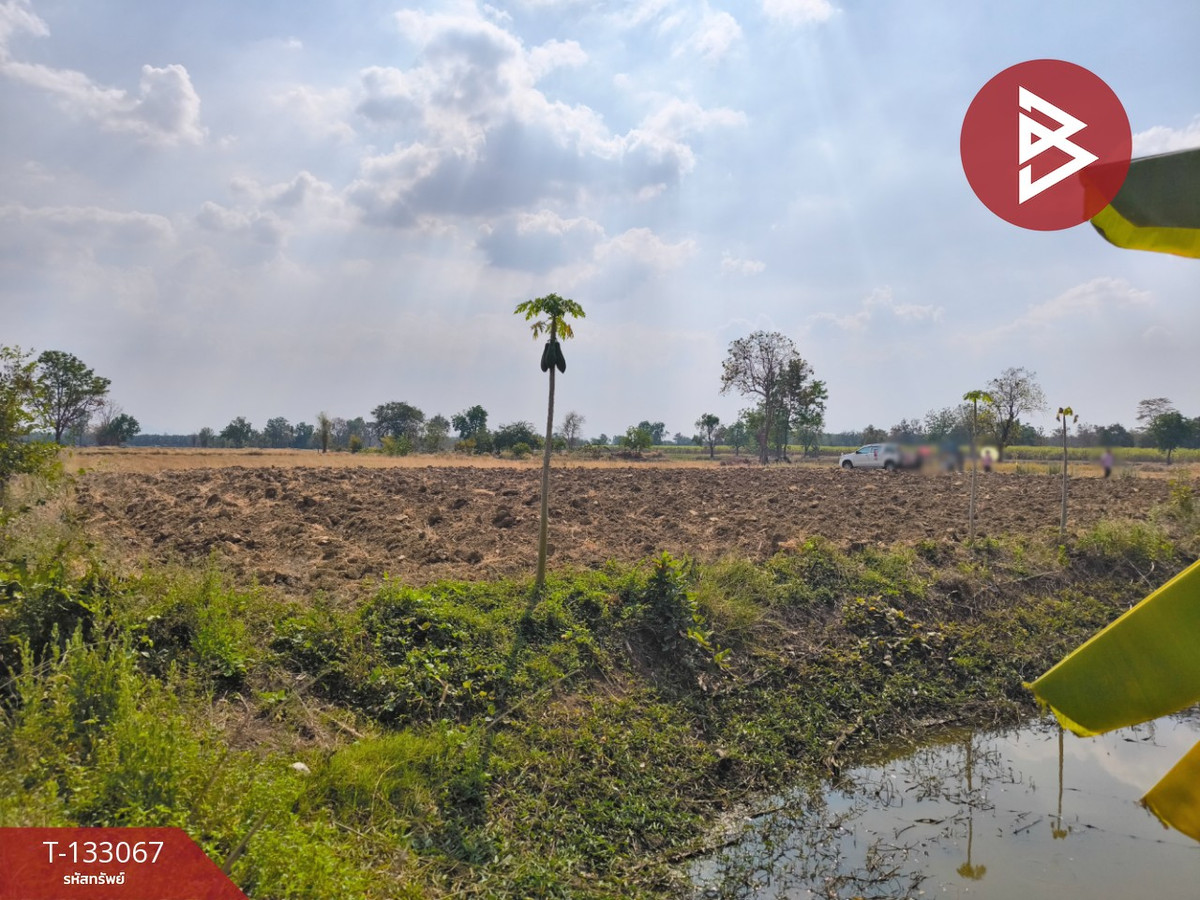 ขายที่ดิน เนื้อที่ 10 ไร่ ศรีเทพ เพชรบูรณ์ – รูปที่ 4