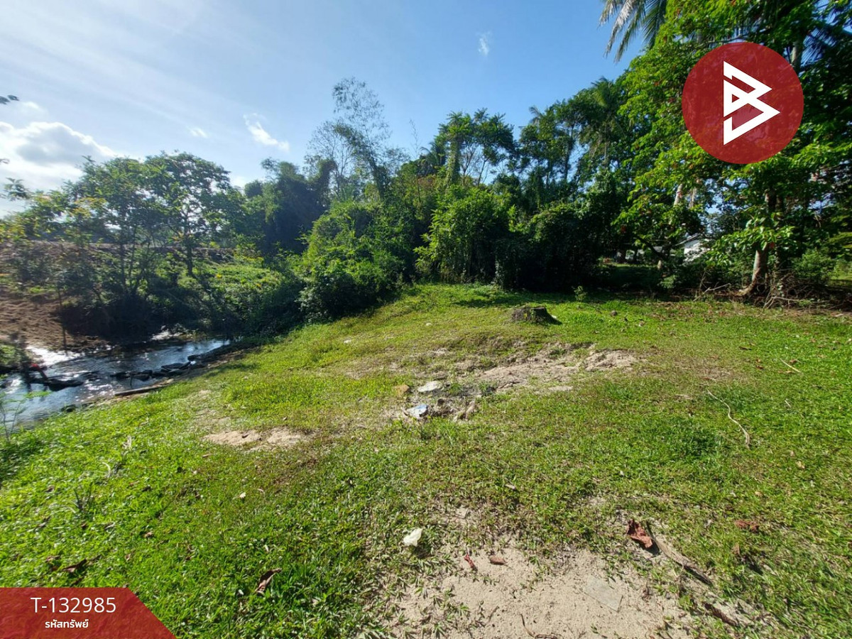 Land for sale, area 81 sq m, Pho Sadet, Nakhon Si Thammarat. – รูปที่ 3