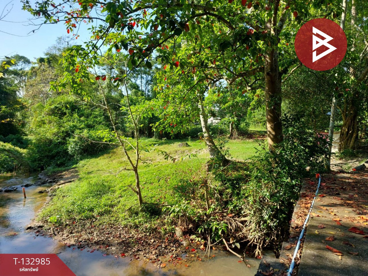 Land for sale, area 81 sq m, Pho Sadet, Nakhon Si Thammarat. – รูปที่ 4