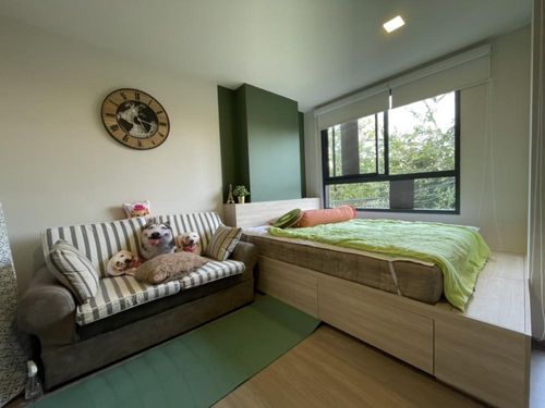 PFD-07966 The Muve Bangna  ให้เช่าคอนโดบางนา ใกล้เซ็นทรัลบางนาและ Index Living Mall | Condo for Rent The Muve Bangna