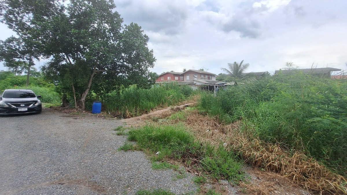 🩷Land for sale in Nong Suea District, Khlong 12 Subdistrict, east side, 3 plots, 1 ngan 50 sq m each, selling for 650,000 baht per plot, can build a house. Interested line @900cqqhk tel 0859114585 🩷 – รูปที่ 3
