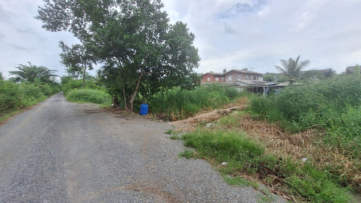 🩷Land for sale in Nong Suea District, Khlong 12 Subdistrict, east side, 3 plots, 1 ngan 50 sq m each, selling for 650,000 baht per plot, can build a house. Interested line @900cqqhk tel 0859114585 🩷 – รูปที่ 2