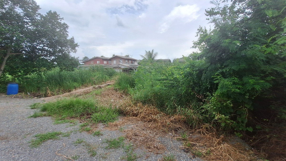 🩷Land for sale in Nong Suea District, Khlong 12 Subdistrict, east side, 3 plots, 1 ngan 50 sq m each, selling for 650,000 baht per plot, can build a house. Interested line @900cqqhk tel 0859114585 🩷 – รูปที่ 4
