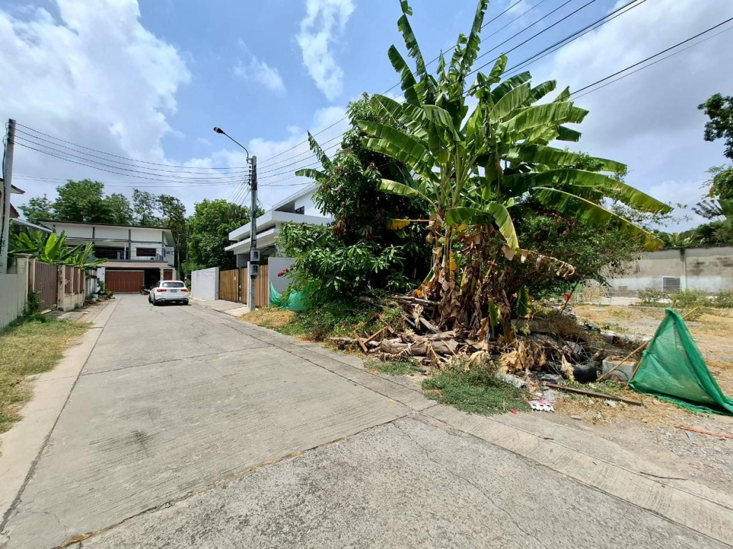 ขาย ที่ดิน ซอย งามวงศ์วาน 47 แยก 4-5-2 ขนาด 120 ตรว ใกล้ถ.งามวงศ์วานแค่ 1.1 กม. DD – รูปที่ 2