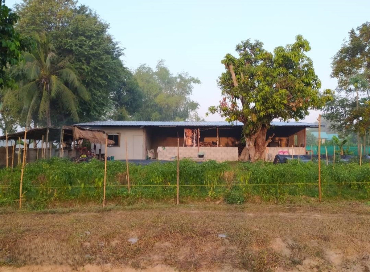 95685 - Large plot of land for sale, 33 rai, near the Mekong River. Si Chiang Mai District, Nong Khai Province