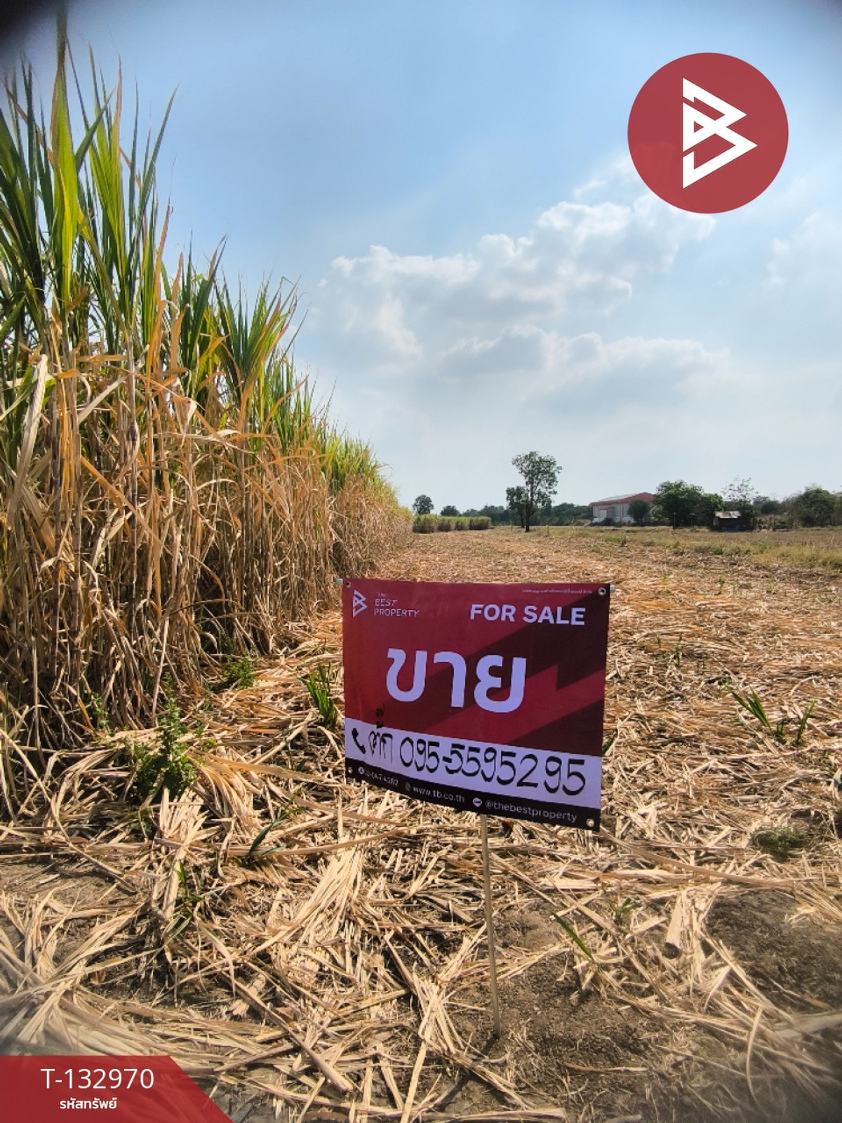 Land for sale, area 20 rai 86 square wah, Si Thep, Phetchabun. – รูปที่ 3