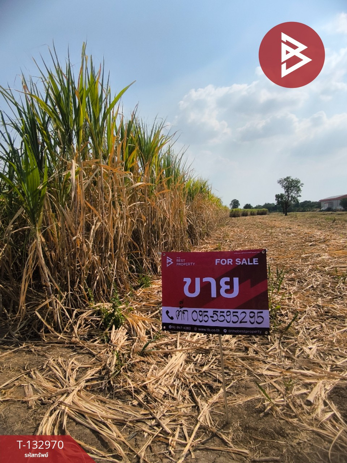 Land for sale, area 20 rai 86 square wah, Si Thep, Phetchabun. – รูปที่ 2