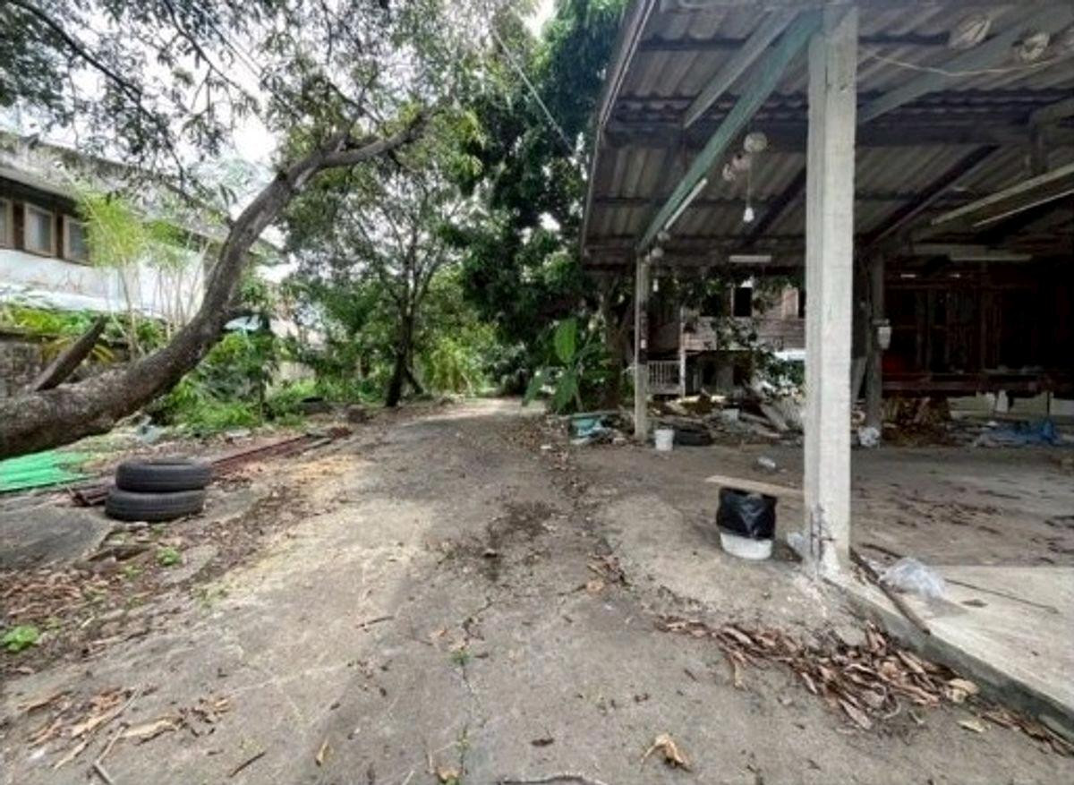 ขาย ที่ดิน ถนนปรีดีพนมยงค์ 14 หมู่บ้านเกษมสำราญ 2 📞095-164-2956 เหมาะสร้างบ้าน ออฟฟิศ #ที่ดินซอยมีสุวรรณ3  – รูปที่ 2