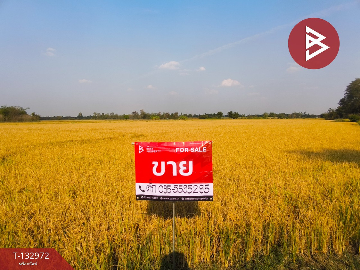 ขายที่ดิน เนื้อที่ 14 ไร่ 2 งาน 95 ตารางวา ศรีเทพ เพชรบูรณ์ ขายที่ดิน เนื้อที่ 14 ไร่ 2 งาน 95 ตารางวา ศรีเทพ เพชรบูรณ์