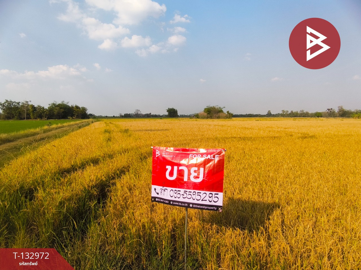 ขายที่ดิน เนื้อที่ 14 ไร่ 2 งาน 95 ตารางวา ศรีเทพ เพชรบูรณ์ – รูปที่ 2