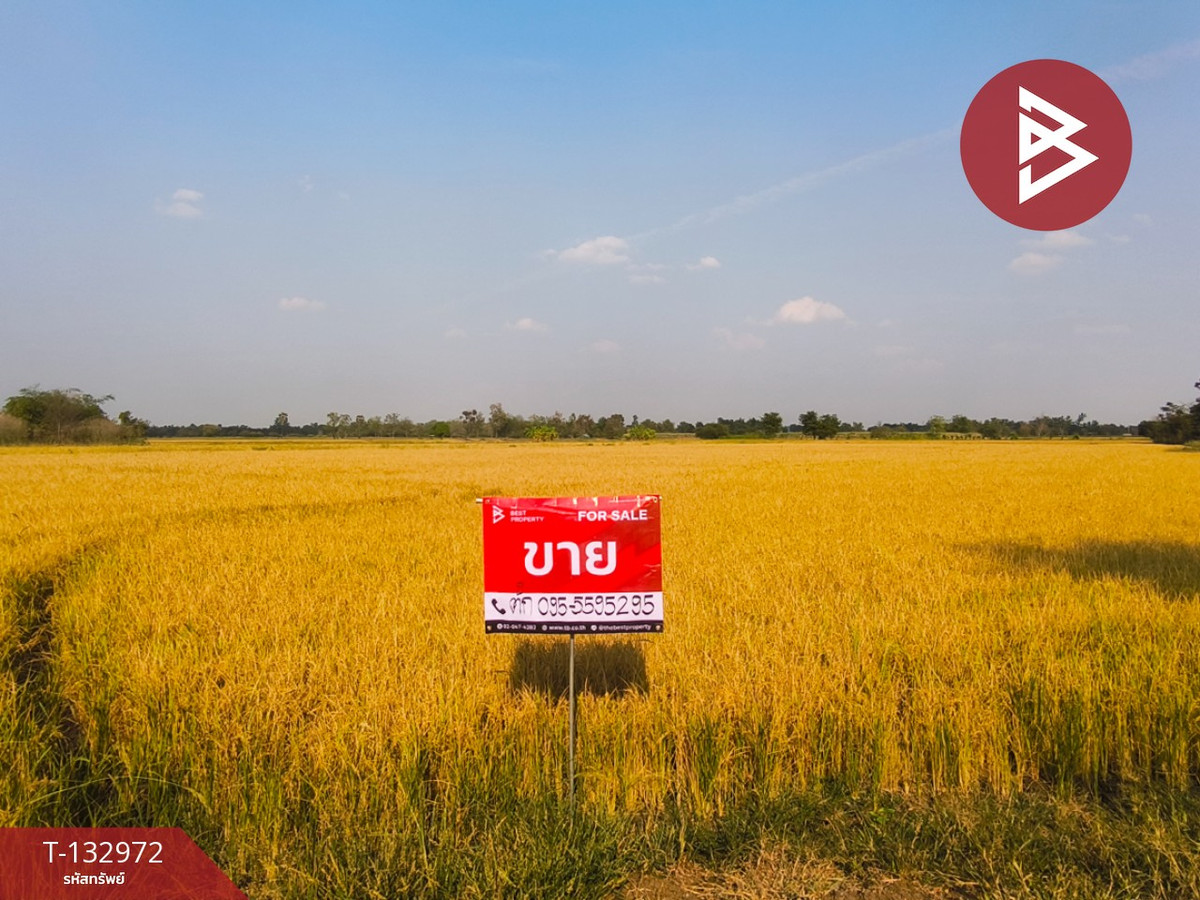 ขายที่ดิน เนื้อที่ 14 ไร่ 2 งาน 95 ตารางวา ศรีเทพ เพชรบูรณ์ – รูปที่ 3