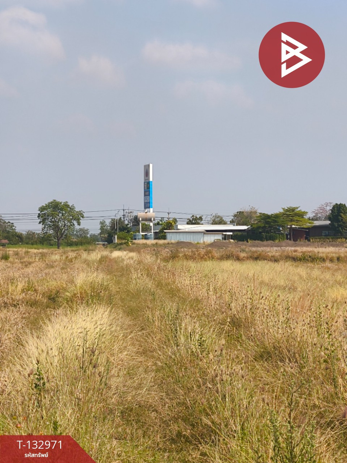 ขายที่ดิน เนื้อที่ 29 ไร่ 3 งาน 29 ตร.วา ศรีเทพ เพชรบูรณ์ – รูปที่ 4