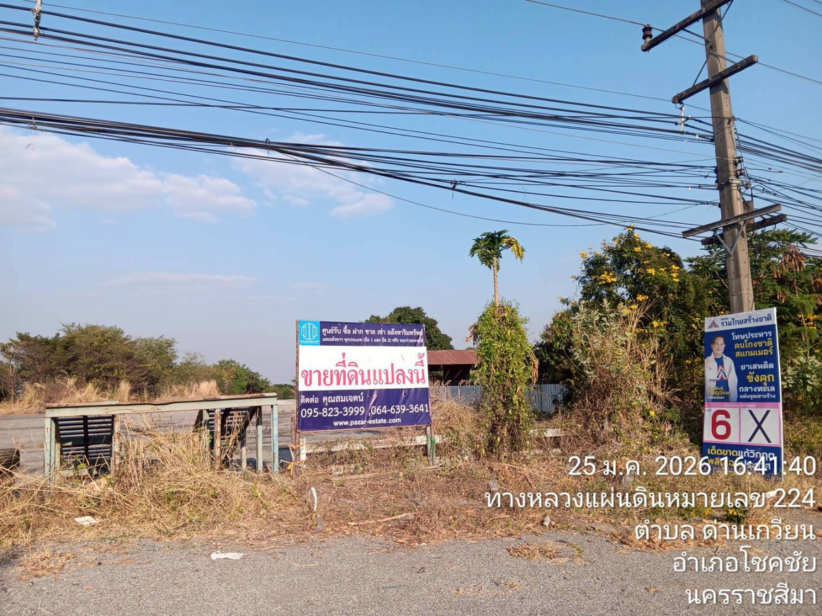 PZ1281-Land for sale 6-2-51 rai, next to the road on 3 sides, Ratchasima-Chokchai Road. and Highway 3024, Dan Kwian Subdistrict, Chok Chai District, Nakhon Ratchasima Province PZ1281-Land for sale 6-2-51 rai, next to the road on 3 sides, Ratchasima-Chokchai Road. and Highway 3024, Dan Kwian Subdistrict, Chok Chai District, Nakhon Ratchasima Province
