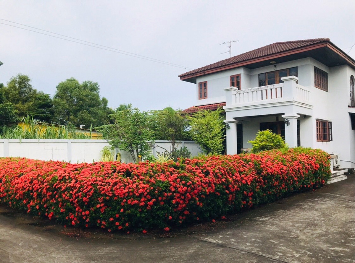Single house for sale Ample land area 152 sq m., Soi Welfare 1, Phetkasem. Single house for sale Ample land area 152 sq m., Soi Welfare 1, Phetkasem.