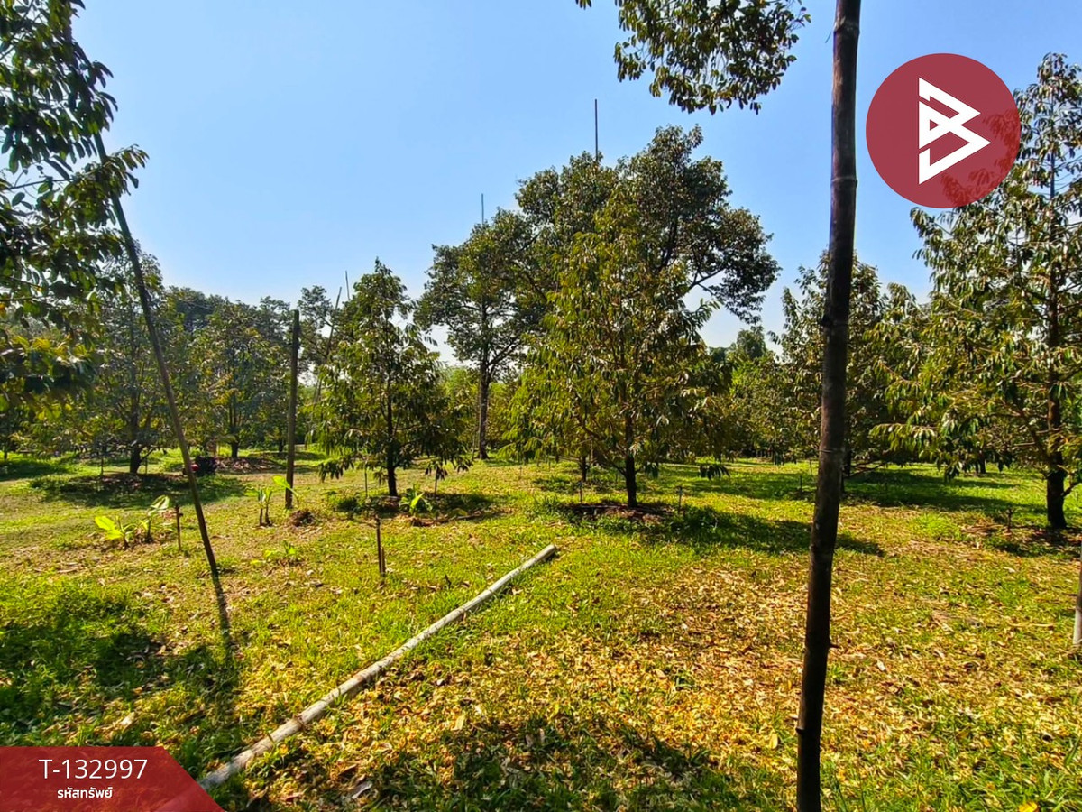 ขายที่ดิน เนื้อที่ 6 ไร่ 3 งาน 31 ตร.วา เขาคิชฌกูฏ จันทบุรี – รูปที่ 2