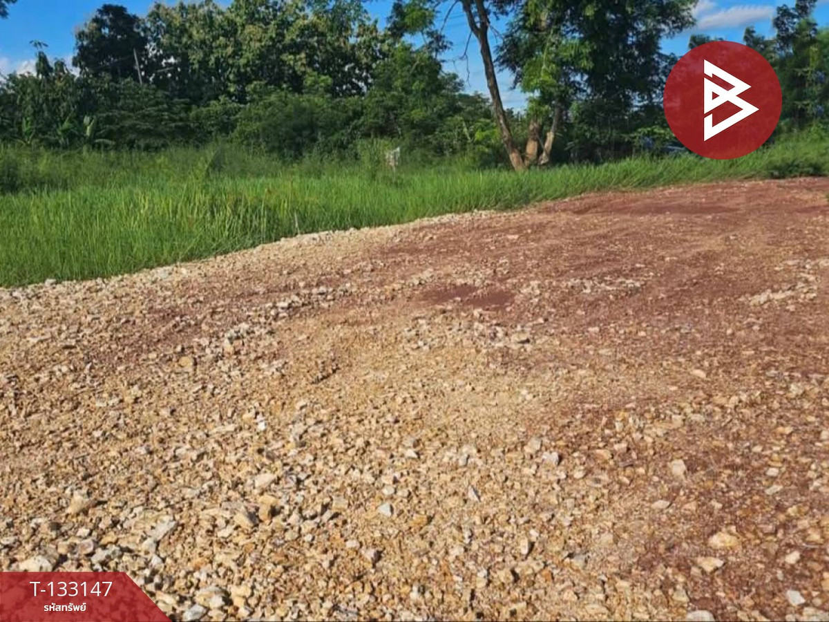ขายที่ดิน เนื้อที่ 95 ตร.วา ท่าอิฐ อุตรดิตถ์ – รูปที่ 4