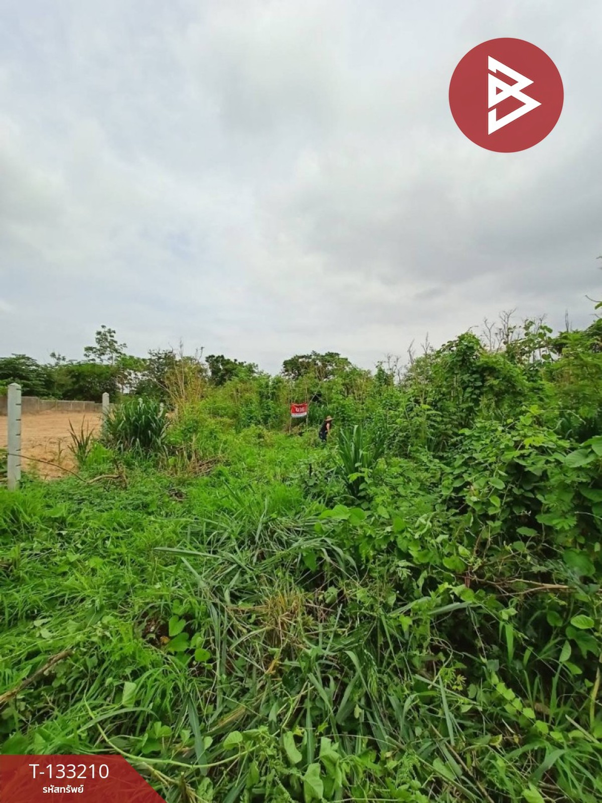 ขายที่ดิน เนื้อที่ 50 ตร.วา วัดไทร นครสวรรค์ – รูปที่ 4