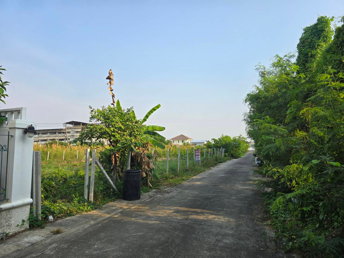 ขายที่ดิน 200 ตรว. ซอยมาเจริญ 1 แยก 3-6 ทำเลดี ผังสีส้ม ราคาดี  – รูปที่ 4