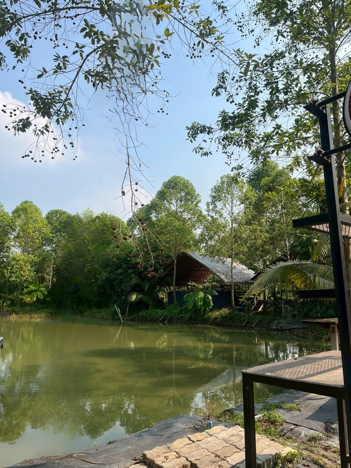 🌿🌊 ให้เช่าที่ดินบรรยากาศธรรมชาติ ติดคลอง – พุทธมณฑลสาย 6 ทำเลดี ใกล้ตลาดน้ำดอนหวาย–วัดไร่ขิง เหมาะทำธุรกิจแนวธรรมชาติ/ไลฟ์สไตล์ – รูปที่ 4