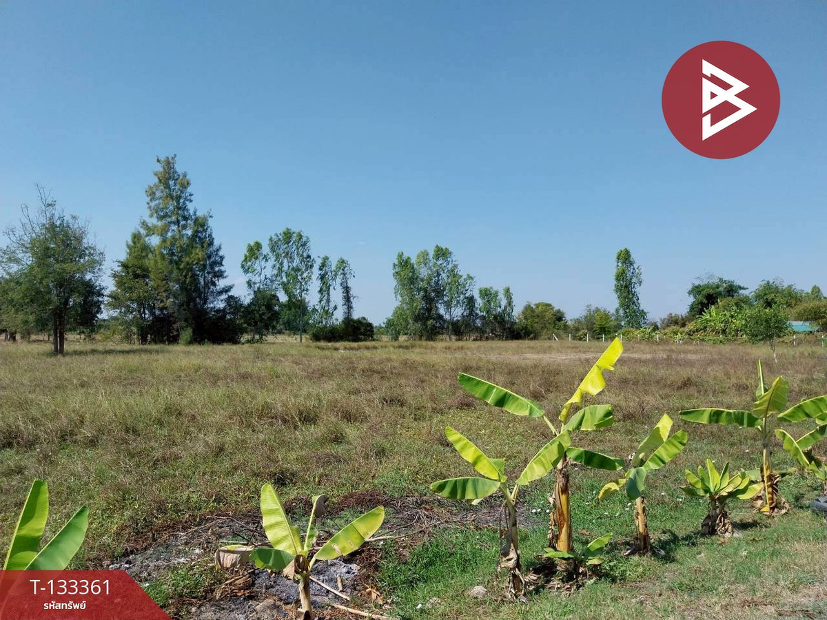 Land for sale, area 2 rai 3 ngan 54.2 square wah, Nong Ya Sai, Suphanburi, next to public roads. – รูปที่ 3
