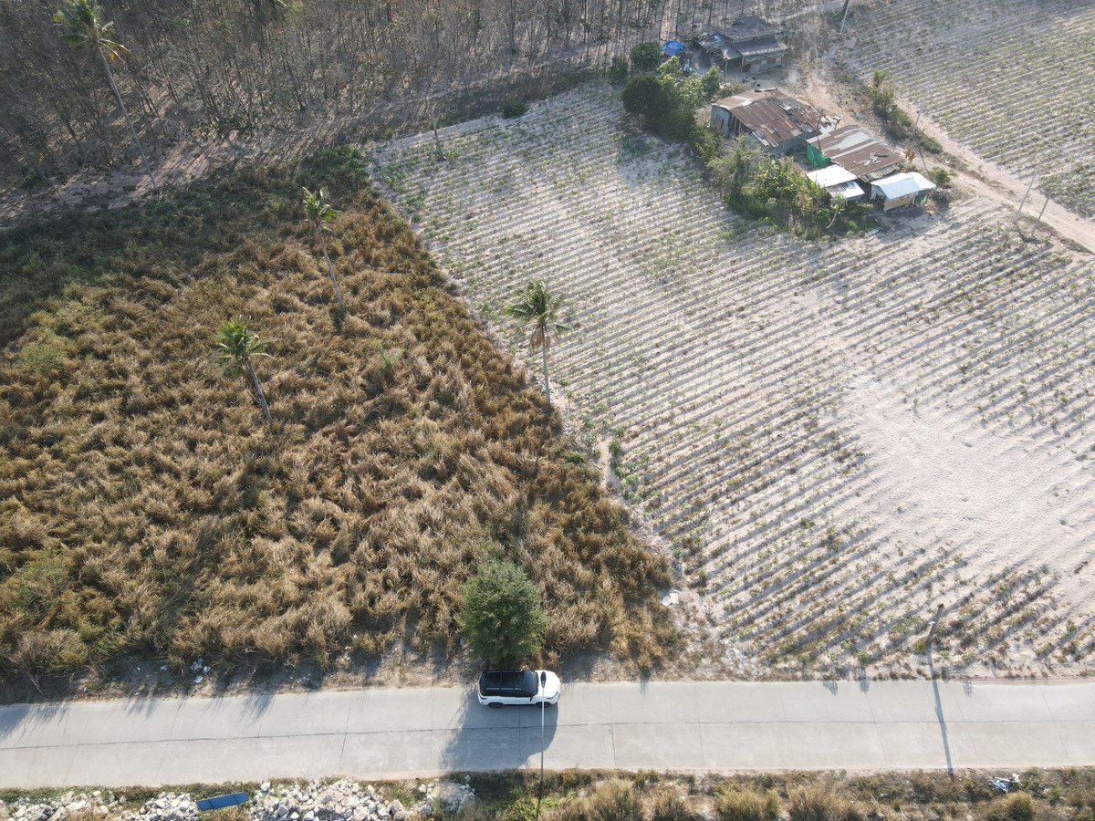Land for sale in Mapyangphon, Pluak Daeng District, Rayong (Industrial Zone, has electricity support), area 86 rai, road width 8-15 m. – รูปที่ 4