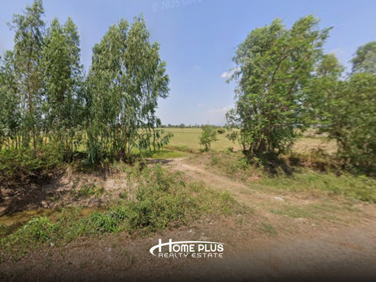 Land 20 rai, Wat Ta Yom Subdistrict, Bang Krathum District. Phitsanulok Province – รูปที่ 3