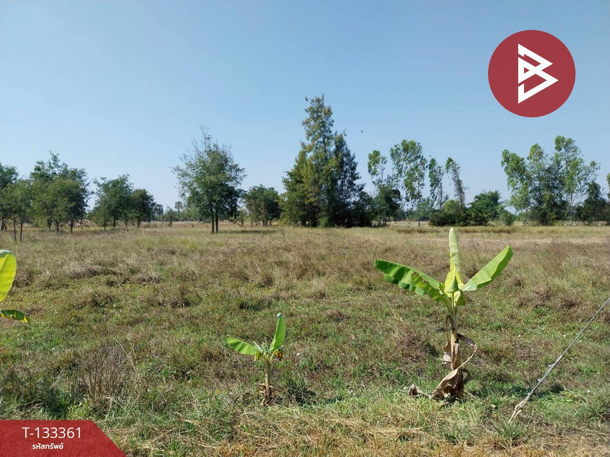 Land for sale, area 2 rai 3 ngan 54.2 square wah, Nong Ya Sai, Suphanburi, next to public roads. – รูปที่ 2