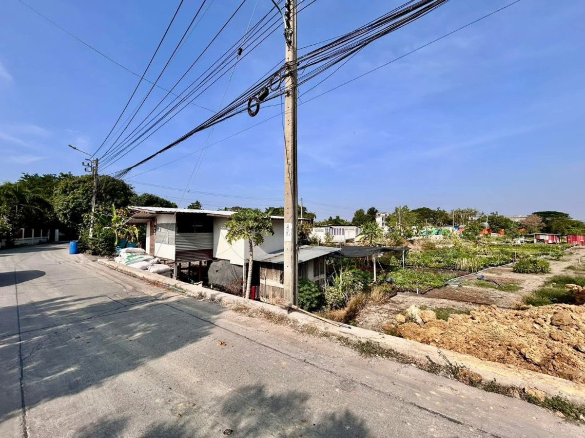 ขายที่ดินพร้อมสิ่งปลูกสร้าง ทำเลทอง 2-2-5.5 ตร.ว. ติดถนนกาญจนาภิเษก อ.บางใหญ่ จ.นนทบุรี หลังโรงถ่ายกันตนา บางใหญ่ ขายที่ดินพร้อมสิ่งปลูกสร้าง ทำเลทอง 2-2-5.5 ตร.ว. ติดถนนกาญจนาภิเษก อ.บางใหญ่ จ.นนทบุรี หลังโรงถ่ายกันตนา บางใหญ่