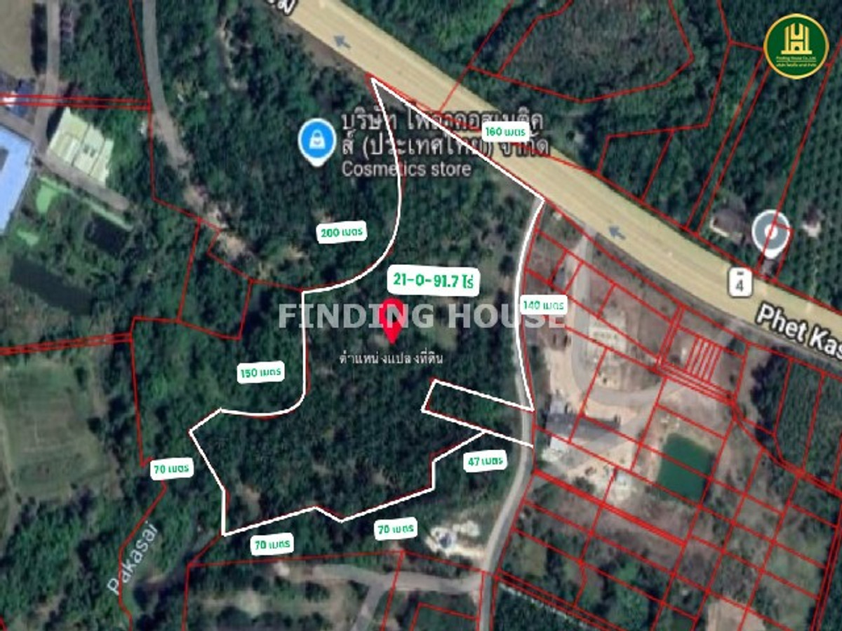 Palm plantation land for sale next to Phetkasem Road. Nuea Khlong District Krabi Province, area 21-0-91.7 rai, near Krabi Airport 10 km. – รูปที่ 2