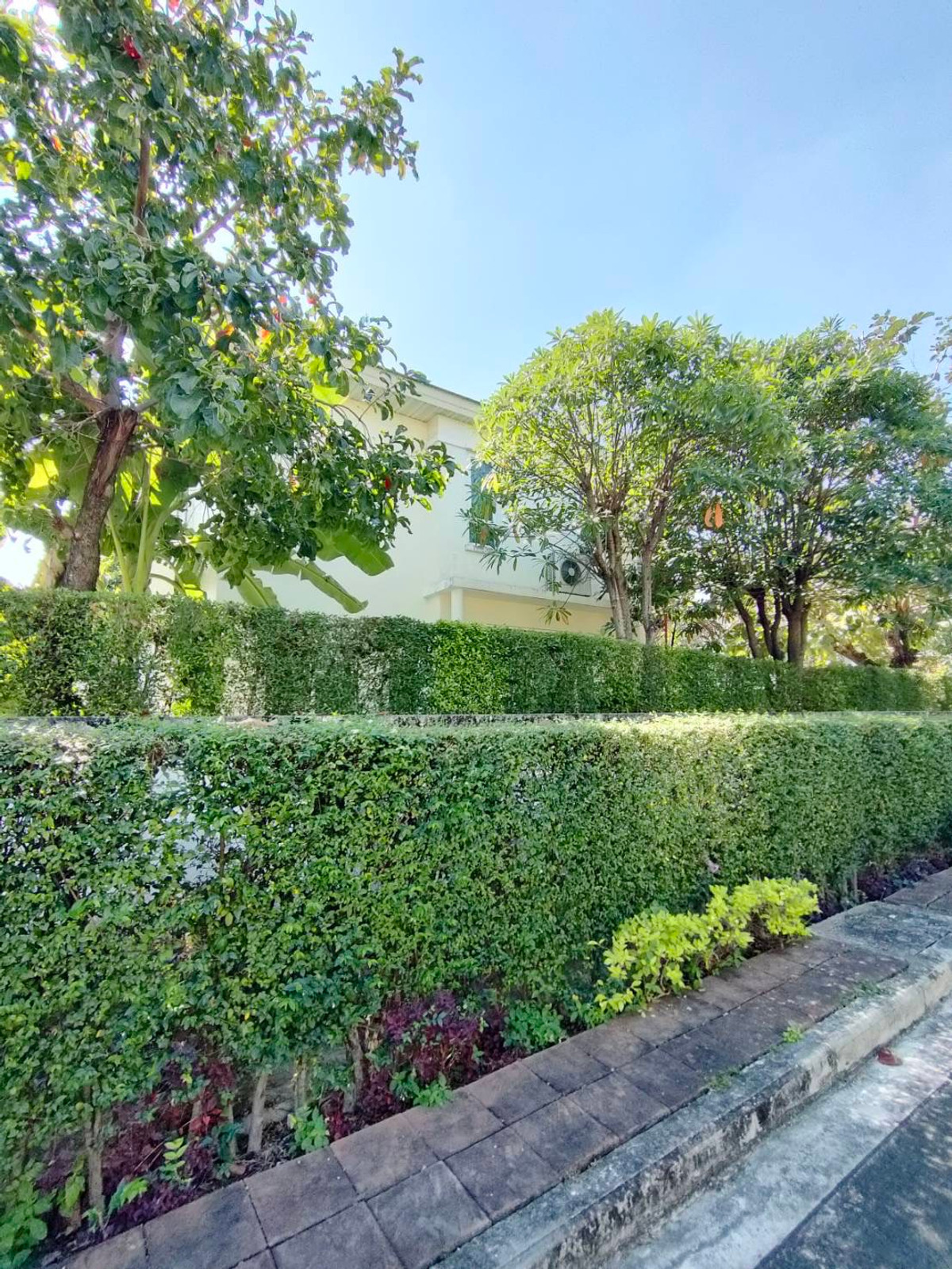 🏡 ให้เช่า!!! บ้านเดี่ยวเพอร์เฟคมาสเตอร์พีซ พระรามเก้า  – รูปที่ 2