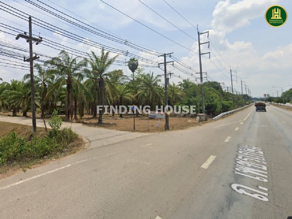 Palm plantation land for sale next to Phetkasem Road. Nuea Khlong District Krabi Province, area 21-0-91.7 rai, near Krabi Airport 10 km. – รูปที่ 4