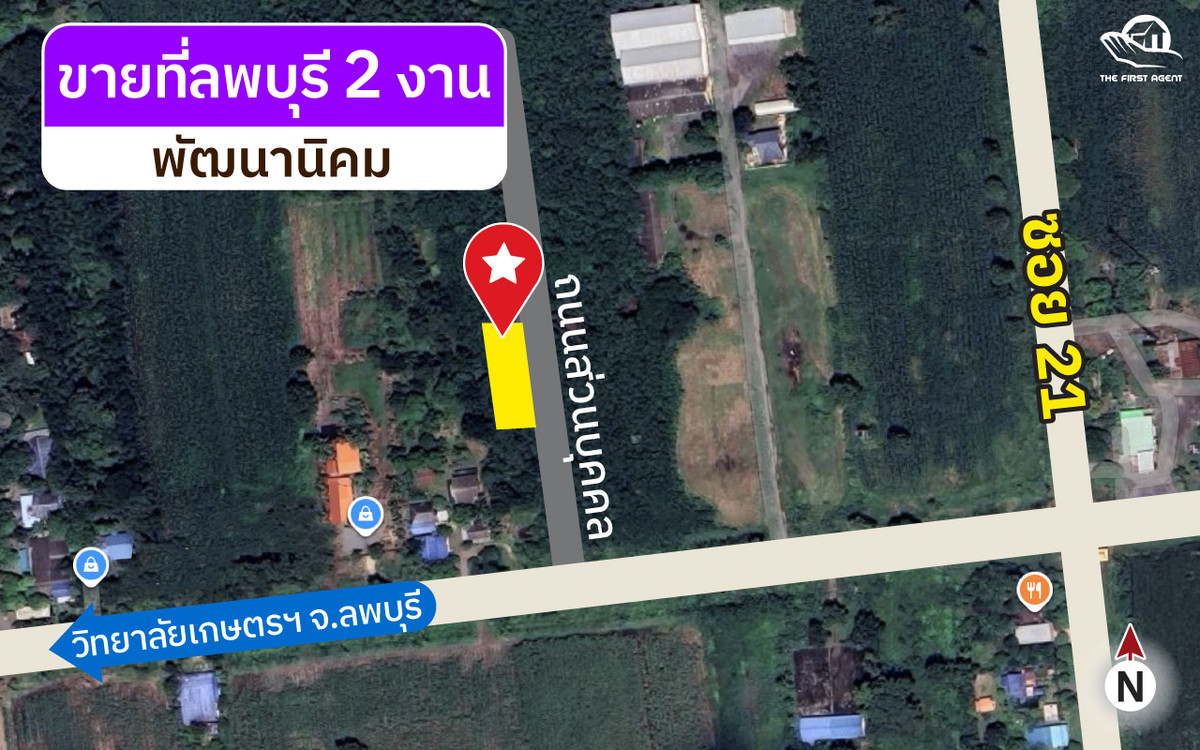 ขายที่ดินโฉนดลพบุรี ใกล้วิทยาลัยเกษตร ลพบุรี 2 งาน ใกล้ถนนใหญ่ [FAS2602137] – รูปที่ 3