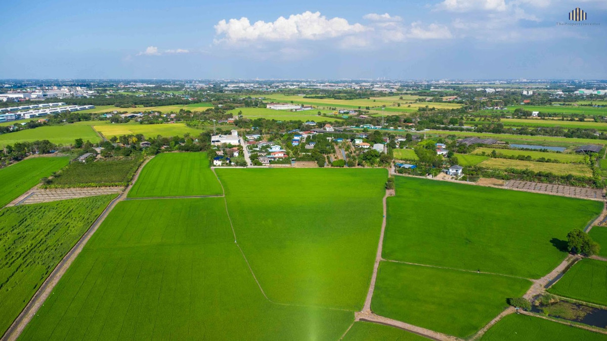 ที่ดิน 20 ไร่ ใกล้ถนนปทุม-บางเลน 1 กม. ขายที่ดินลาดหลุมแก้ว เลียบคลองระแหง เหมาะลงทุนพัฒนา – รูปที่ 3