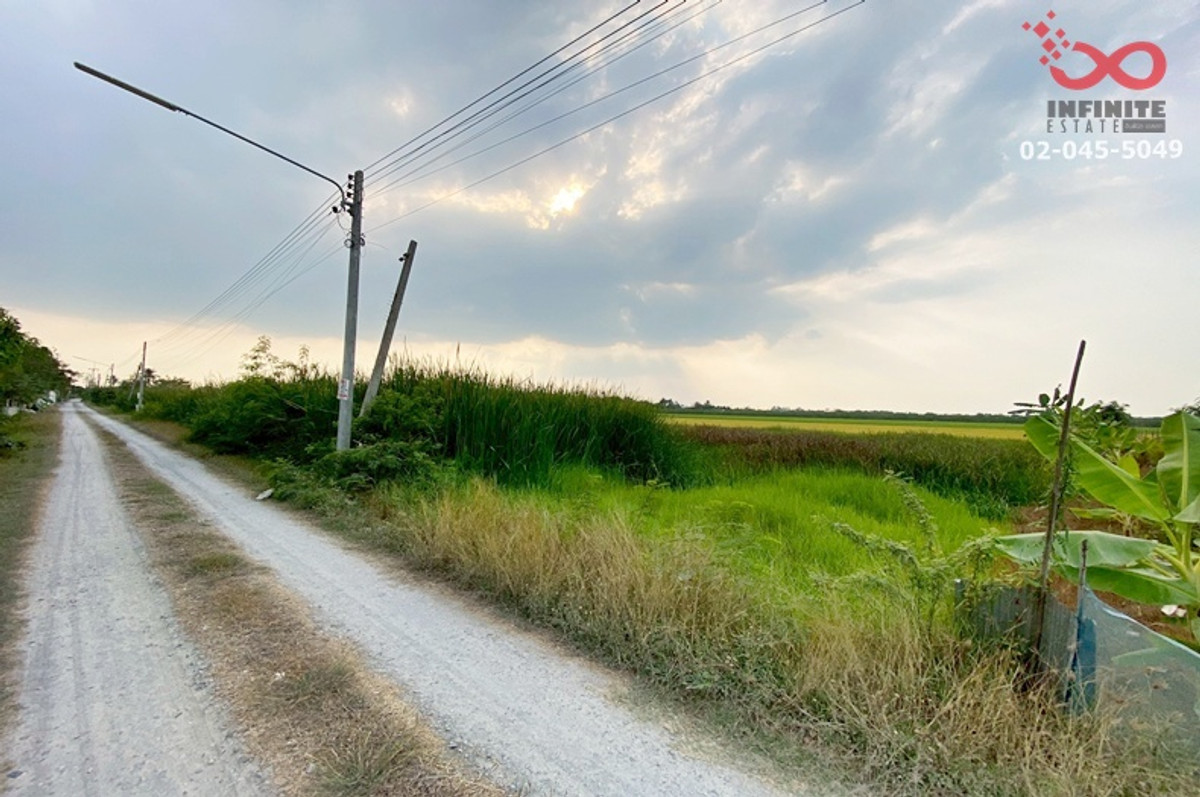 Land for sale 100 sq m near Chedi Hoi Temple. Liap Klong Yai Road, Lat Lum Kaeo, Pathum Thani, near Chedi Hoi Temple. – รูปที่ 4