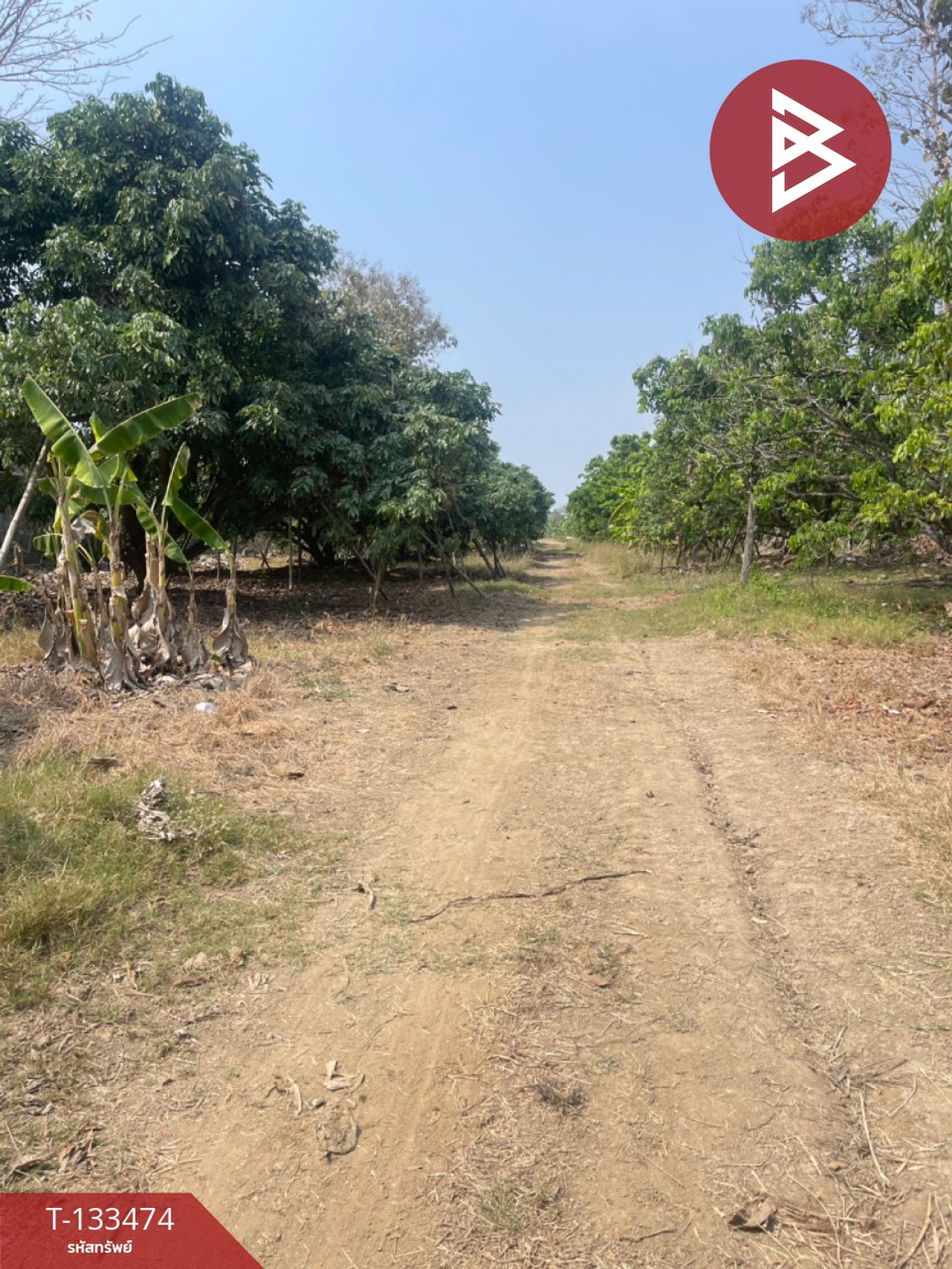 ขายที่ดิน เนื้อที่ 2 ไร่ 2 งาน 30 ตร.วา สารภี เชียงใหม่ – รูปที่ 4