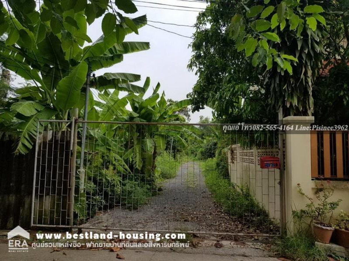 Empty land for sale, 391.9 square wah, land is in a green area (pork stomach), Bang Kachao - Phra Pradaeng, near Bang Nam Phueng Floating Market. and Sri Nakhon Khuean Khan Park – รูปที่ 4