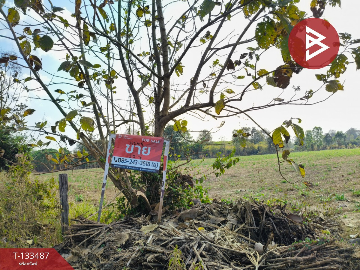 Land for sale, area 11 rai 3 ngan 39 sq m, Phlapphla Chai, Buriram. Land for sale, area 11 rai 3 ngan 39 sq m, Phlapphla Chai, Buriram.