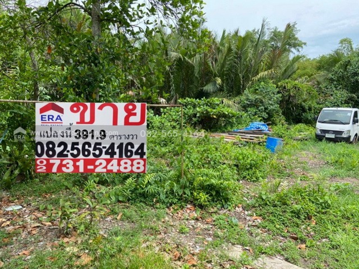Empty land for sale, 391.9 square wah, land is in a green area (pork stomach), Bang Kachao - Phra Pradaeng, near Bang Nam Phueng Floating Market. and Sri Nakhon Khuean Khan Park – รูปที่ 3