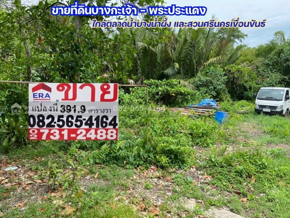 Empty land for sale, 391.9 square wah, land is in a green area (pork stomach), Bang Kachao - Phra Pradaeng, near Bang Nam Phueng Floating Market. and Sri Nakhon Khuean Khan Park Empty land for sale, 391.9 square wah, land is in a green area (pork stomach), Bang Kachao - Phra Pradaeng, near Bang Nam Phueng Floating Market. and Sri Nakhon Khuean Khan Park