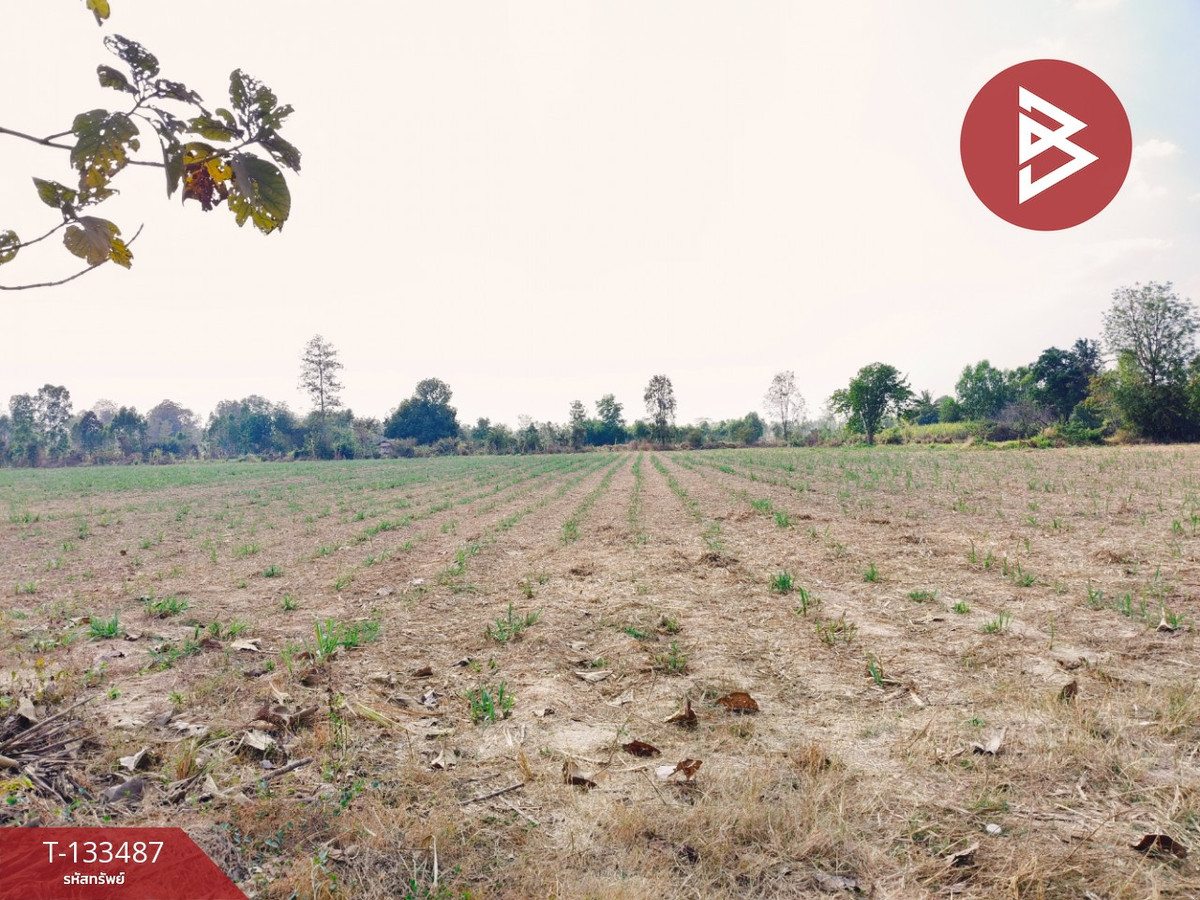 ขายที่ดิน เนื้อที่ 11 ไร่ 3 งาน 39 ตร.วา พลับพลาชัย บุรีรัมย์ – รูปที่ 3